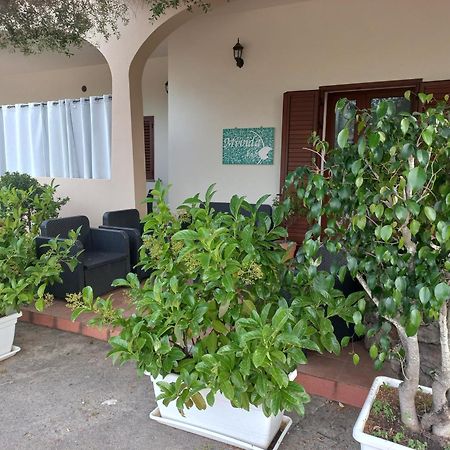 Mivida "Le Stanze Di Ada" Bed & Breakfast San Teodoro  Luaran gambar